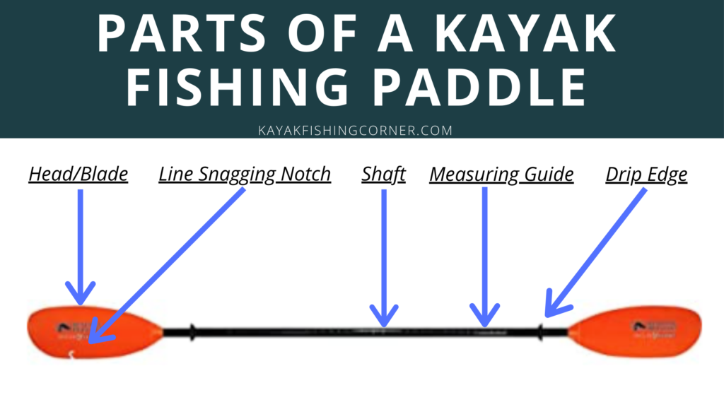 Parts of a Kayak Fishing Paddle